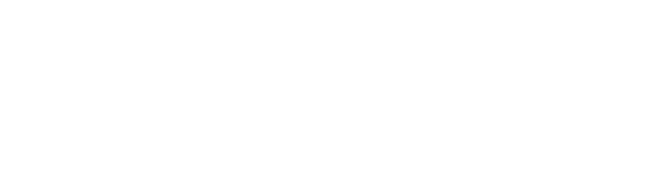 Case